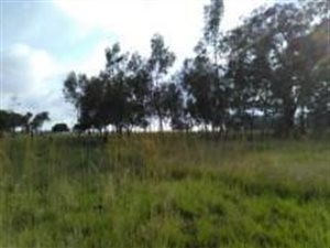 5 ha Land available in Honingnestkrans