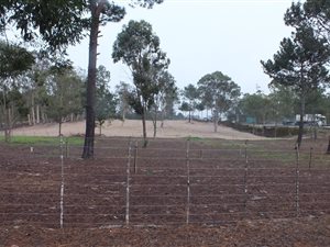2 ha Farm in Albertinia