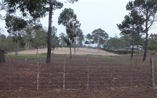 2 ha Farm in Albertinia