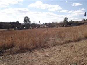 1 ha Farm in Doringkloof