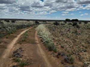11361 ha Farm in Calvinia