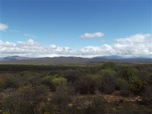 138 ha Farm in Worcester and surrounds