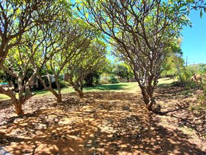 8.8 ha Farm in Strydfontein and surrounds