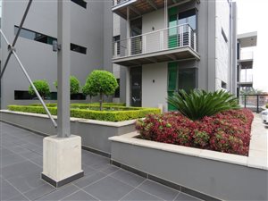188 m² Commercial space in Bedfordview