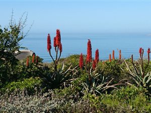 4 Bed House in Springerbaai Eco Estate