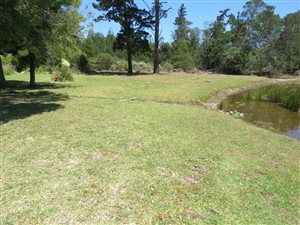 634 m² Land available in Plettenberg Bay