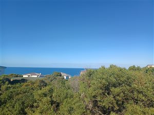 1090 m² Land available in Wilderness