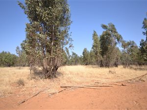 11.8 ha Land available in Hillside AH
