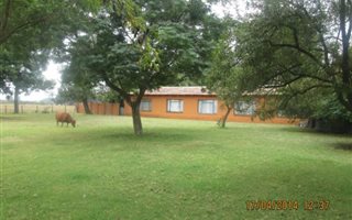 4.3 ha Farm in Sundra