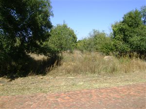 1 ha Land available in Leeuwfontein