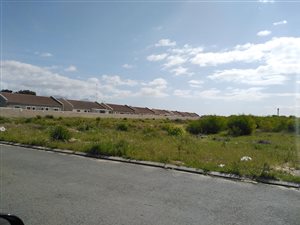 4049 m² Land available in Weltevreden Valley