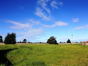 742 m² Land available in Die Bult