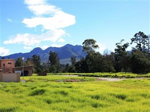 742 m² Land available in Die Bult