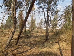 1946 m² Land available in Highbury