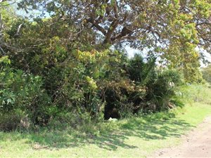 4047 m² Land available in Banners Rest