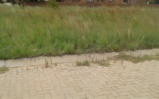 920 m² Land available in Pine Ridge