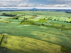 100.7 ha Land available in Camperdown