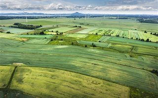 100.7 ha Land available in Camperdown