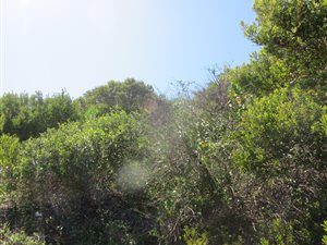 3575 m² Land available in Moquini Coastal Estate