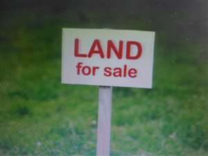 1.3 ha Farm in Mantevrede