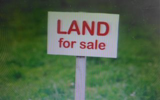 1.3 ha Farm in Mantevrede