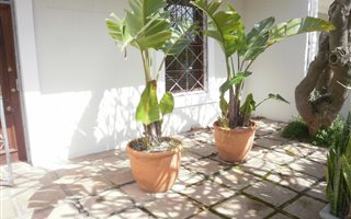 2 Bedroom House in Green Point