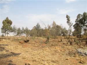 1983 m² Land available in Highbury