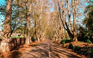 1 Bedroom House in Winston Park