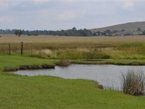 7135 m² Land available in Sterkfontein and surrounds