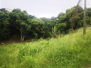 846 m² Land available in Greenwood Park