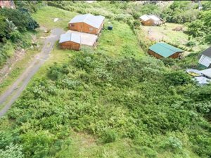 3 Bed House in Mount Moreland