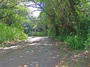 1076 m² Land available in Leisure Bay