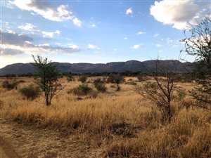 10 ha Farm in Rietfontein