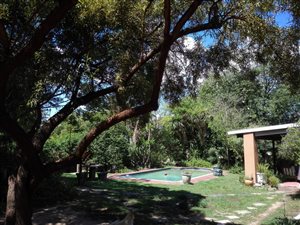 1 Bed Garden Cottage in Johannesburg North