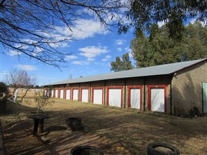 2 ha Farm in Bainsvlei