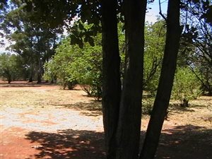 Farm in Elandsfontein AH