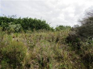720 m² Land available in Zeegezicht