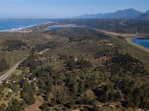 10 ha Farm in George Rural