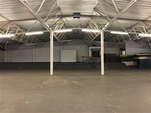Industrial space in Erasmia
