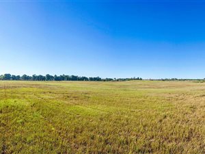 27.7 ha Land available in Olifantsfontein
