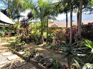 3 Bed House in George East