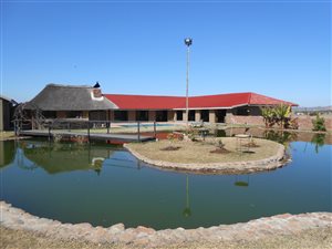 9.3 ha Farm in Polokwane Central