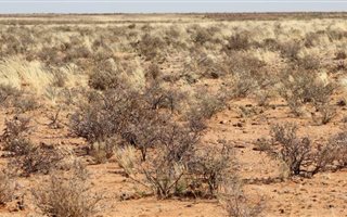 4702 ha Farm in Kenhardt