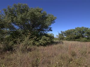 9.3 ha Land available in Grootvlei