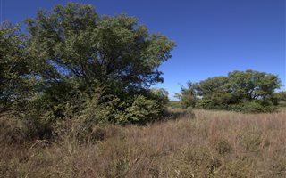 9.3 ha Land available in Grootvlei