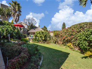 4 Bed House in Wilro Park