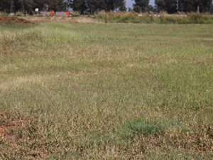 3959 m² Land available in Highbury