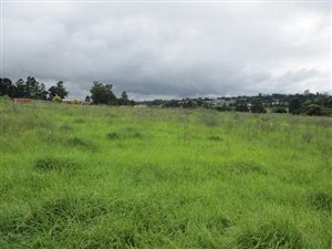 22700 ha Land available in Merrivale Heights