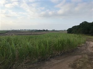 2 ha Land available in Ballito Commercial District