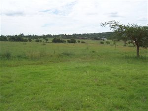 40 ha Land available in Pinehaven